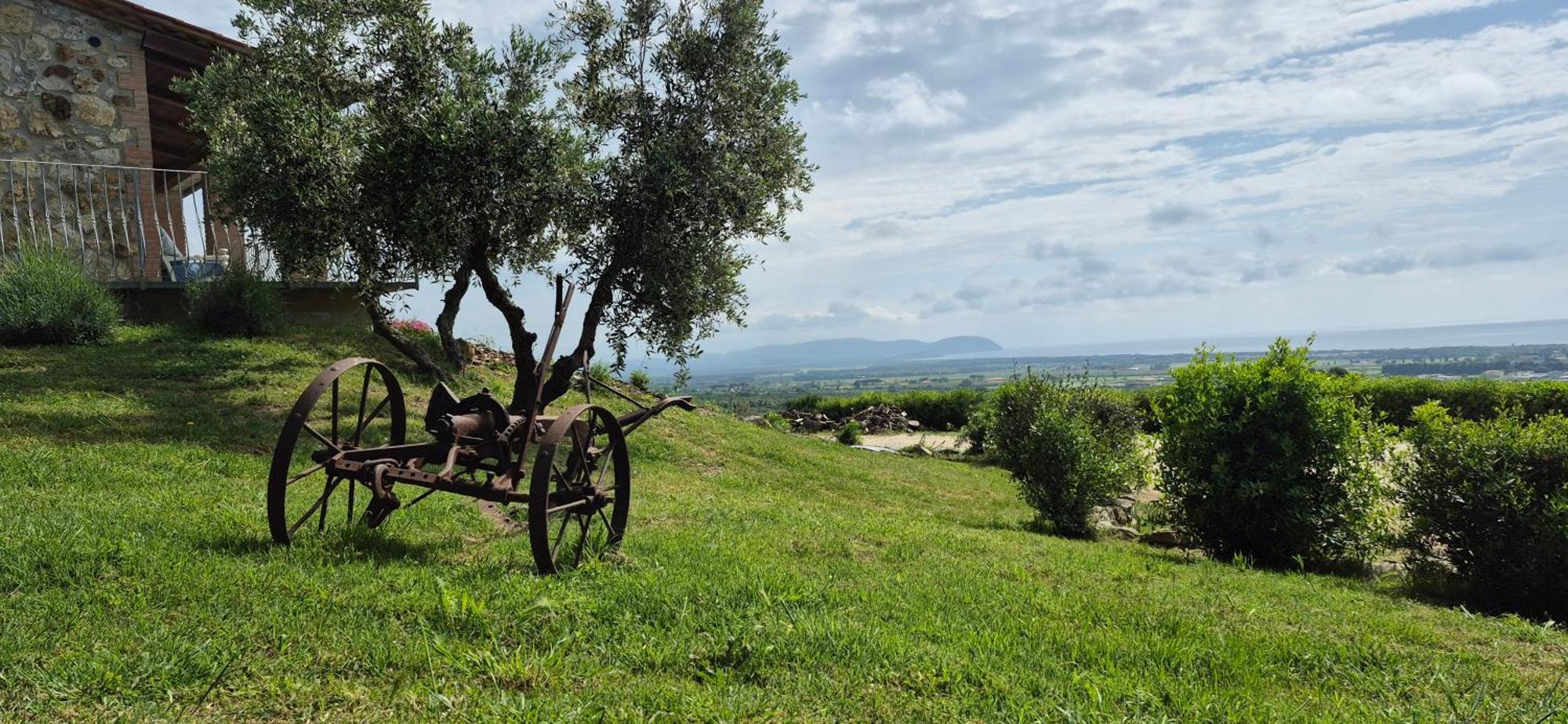 Agriturismo Suite Del Conte San Vincenzo Luaran gambar